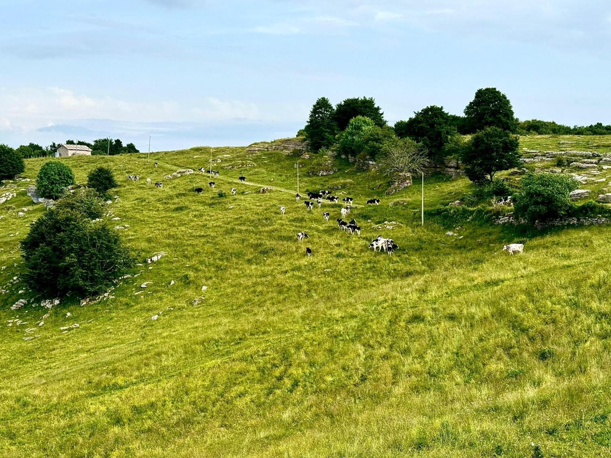 Agriturismo Malga Rambalda Villa Selvavecchia Eksteriør bilde